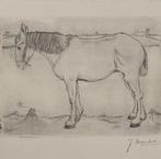 Jan Mankes (1889-1920) - Paard