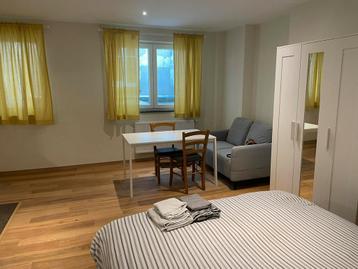 Huis aan Gierstraat, Brussels beschikbaar voor biedingen