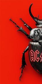 F2B - Beetle AC/DC 4I8