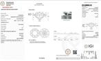 Sans Prix de Réserve - Bague - 18 carats Or blanc - 5.00ct., Handtassen en Accessoires, Ringen, Nieuw