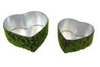Mos hart, mosharten  planter hart micro moss set van 2, Nieuw