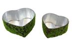 Mos hart, mosharten  planter hart micro moss set van 2