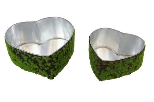 Mos hart, mosharten  planter hart micro moss set van 2, Hobby en Vrije tijd, Knutselen, Nieuw
