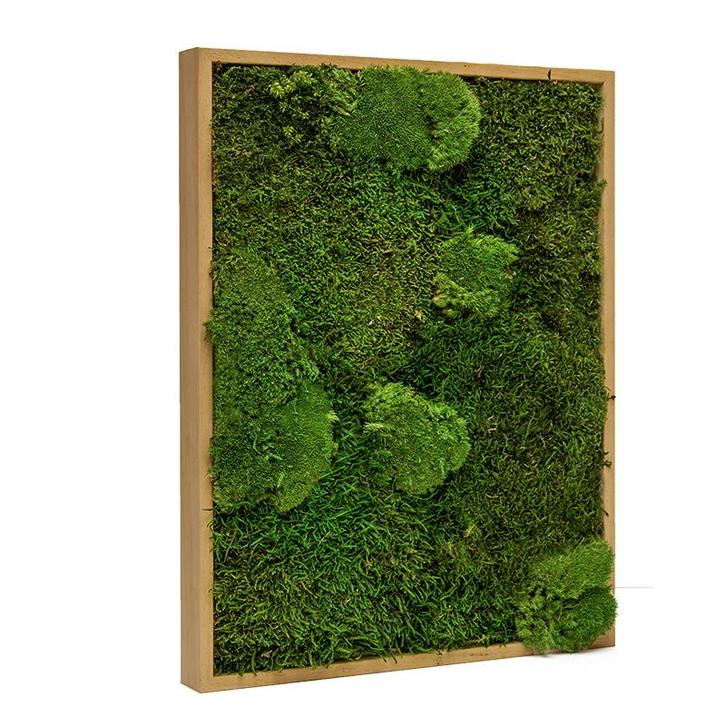 Mosschilderij Lappenmos-Bolmos 70x100 cm Eikenhout - Boras, Huis en Inrichting, Woonaccessoires | Lijsten, Verzenden