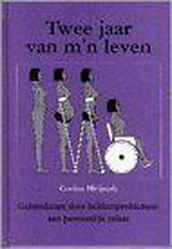 Twee jaar van mn leven 9789080199378 C. Heijstek, Boeken, Gezondheid, Dieet en Voeding, Gelezen, Verzenden