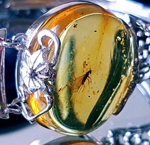 Zeldzame zilveren armband met Baltisch amber fossiele, Verzamelen, Mineralen en Fossielen