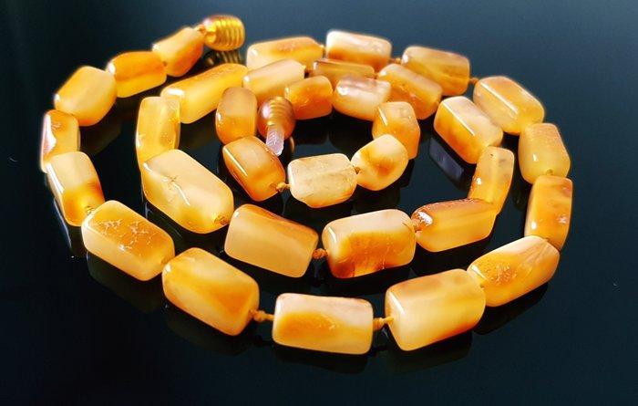 Amber Vintage Baltisch barnsteen ketting - butterscotch, Verzamelen, Dierenverzamelingen