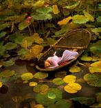 Viet Ha Tran - The Golden Lotus Lake - XL - 197th Annual