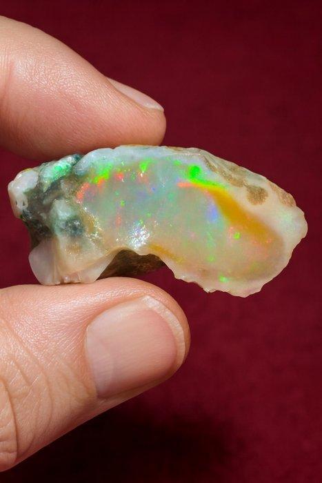 Opaal en bruto XXL de fuego multicolor – 94,5Ct- 18.9 g, Verzamelen, Mineralen en Fossielen