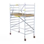 Rolsteiger Panthera 135x245 4,2m