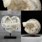 PAS DE PRIX MINIMUM - Belle paire de quartz cristallin Cœur, Antiek en Kunst