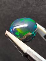 5.62ct Zwarte Opaal Cabochon - Hoogte: 15.5 mm - Breedte:, Verzamelen