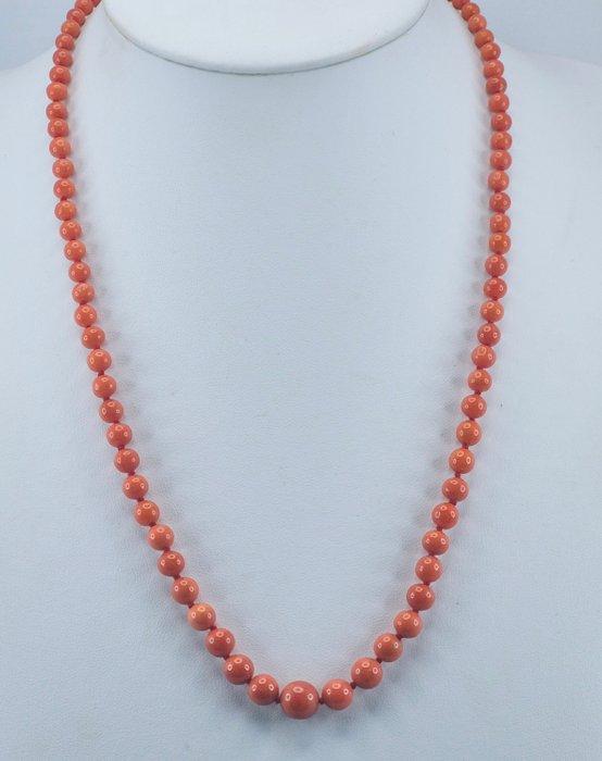 Bloedkoraal - 18 karaat - Geel goud - Halsketting -, Antiek en Kunst, Curiosa en Brocante