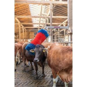 Brosse à vaches happycow free, Zakelijke goederen, Landbouw | Veevoer