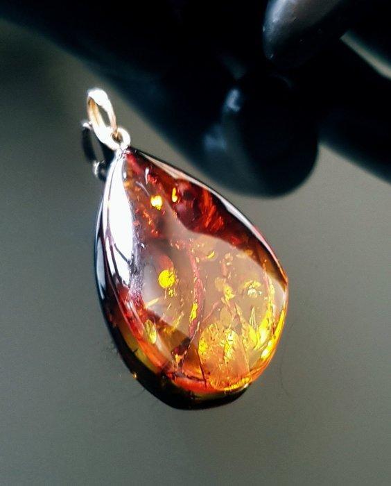 Baltische barnsteen - Hanger, Collections, Minéraux & Fossiles