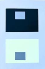 Josef Albers (1888-1976) - Interaction of Colors, Antiek en Kunst