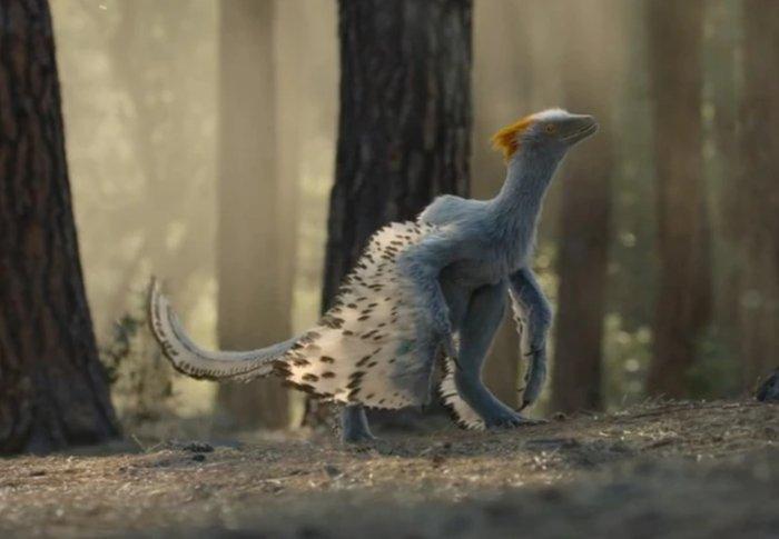 Theropode - 51cm - Gefossiliseerd dier - Anchiornithidae -, Verzamelen, Mineralen en Fossielen