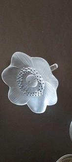 Decoratief ornament - Lalique - Anemoon - Frankrijk