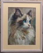 Davor Ivkovi (1965) - Cat