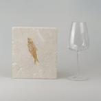 Poisson - Squelette articulé fossilisé - Knightia eocaena -