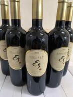 2019 Bodega y Viñedos Solabal, Esculle de Solabal - Rioja, Nieuw