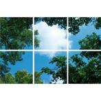 Wolk-bos plafond Fotoprint verdeeld over 6 panelen 60x60cm, Nieuw, Verzenden