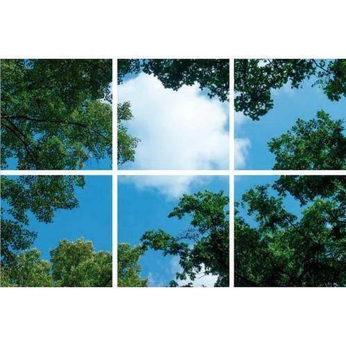 Wolk-bos plafond Fotoprint verdeeld over 6 panelen 60x60cm, Tuin en Terras, Tuinwanddecoratie, Nieuw, Verzenden