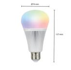 MI-Light Led Lamp - E27 - verhuislamp - RGB + CCT | 2700K,, Huis en Inrichting, Lampen | Losse lampen, Verzenden, Nieuw