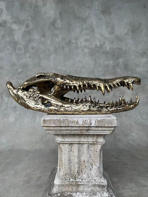 Sculpture, Large Saltwater Crocodile Skull fashioned in, Antiek en Kunst, Kunst | Designobjecten