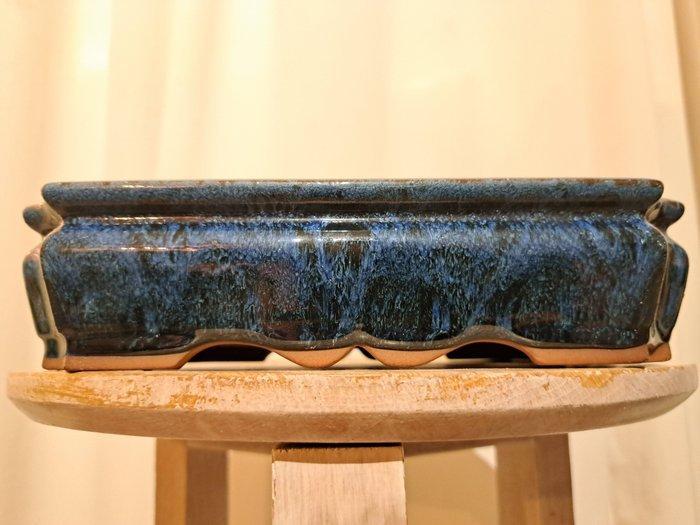 Bonsai schaal - 21,5 cm x 16,5 cm x 5,5 cm - blauw, Antiek en Kunst, Curiosa en Brocante