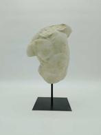 sculptuur, Torso gaddi - 34 cm - Marmerstof, Antiek en Kunst