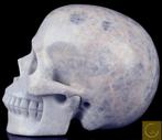 1,17 kg Monumentale blauwe aragoniet-schedel –, Antiek en Kunst