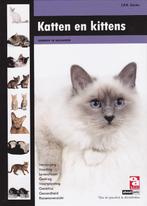 Katten en kittens / Over Dieren 9789058216076 J.P.H. Steijns, Verzenden, J.P.H. Steijns
