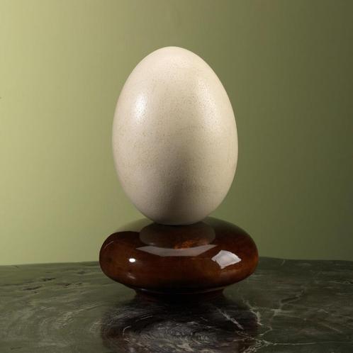 Nandoe Ei Taxidermie Opgezette Dieren By Max, Verzamelen, Dierenverzamelingen, Opgezet dier, Nieuw, Wild dier, Ophalen of Verzenden