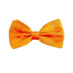 Neon Oranje Vlinderdas, Verzenden, Nieuw