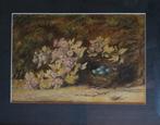 Samuel Palmer (1805–1881) - Near Naples
