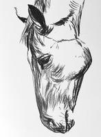 Osvaldo Ferrer - Horse #1