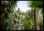Roberto Cavalli (1971) - Somewhere, Near Monte Carlo #718 -