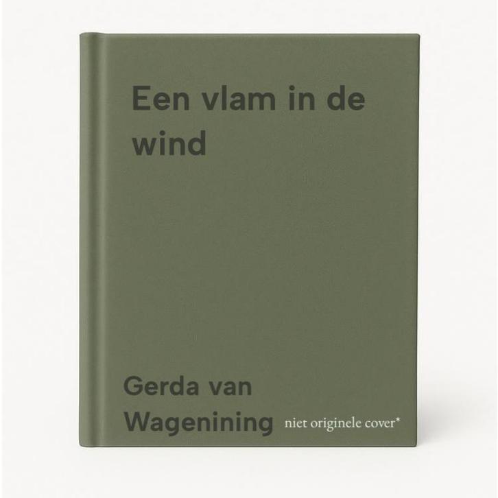 Een vlam in de wind 9789034738943 Gerda van Wagenining, Boeken, Romans, Gelezen, Verzenden