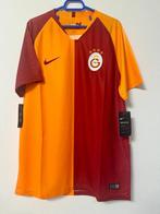 Galatasaray - Europese voetbal competitie - Mitroglou - 2018, Nieuw
