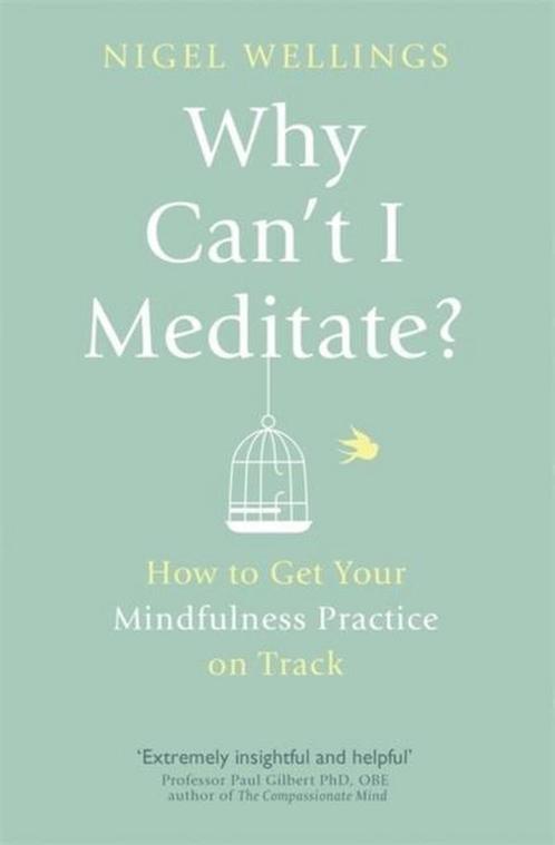 Why Cant I Meditate 9780349405759, Livres, Livres Autre, Envoi