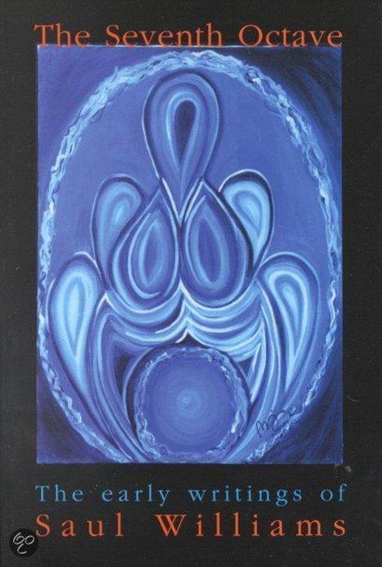 The Seventh Octave 9780965830812 Saul Stacey Williams, Boeken, Taal | Engels, Gelezen, Verzenden