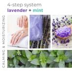 BCL SPA 4 Step Starter Kit (Body Scrub), Verzenden, Nieuw