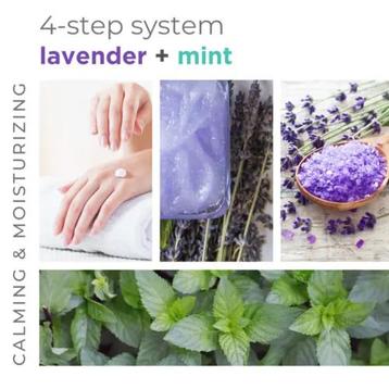 BCL SPA 4 Step Starter Kit (Body Scrub) beschikbaar voor biedingen