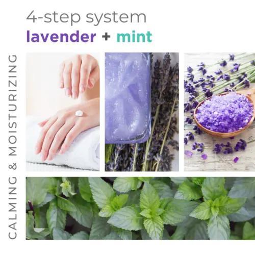 BCL SPA 4 Step Starter Kit (Body Scrub), Handtassen en Accessoires, Uiterlijk | Lichaamsverzorging, Nieuw, Verzenden