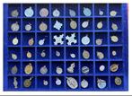 Wereld. Lotto di 48 Medaglie Religiose, XVIII-XX Secolo, Timbres & Monnaies, Monnaies & Billets de banque | Accessoires