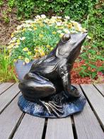 Beeldje - frog on lotus leaf - IJzer