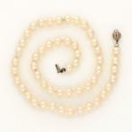 Collier - 14 carats Or blanc - Parel, Handtassen en Accessoires, Kettingen, Nieuw