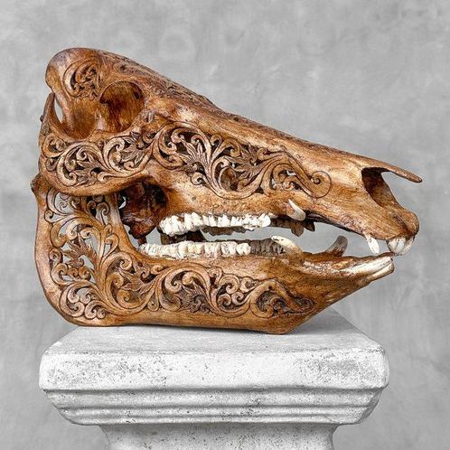 Geen reserveringsprijs - Bruine gesnede patina wild zwijn -, Antiek en Kunst, Kunst | Designobjecten