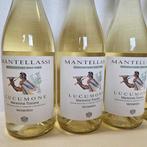 2024 Fattoria Mantellassi, Lucumone Vermentino - Maremma, Verzamelen, Nieuw